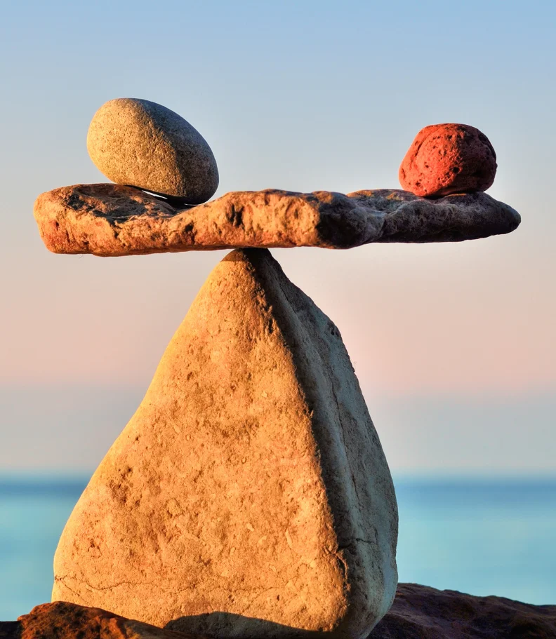 wellness care in Greenville SC